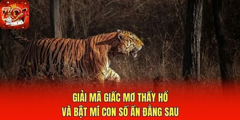 Giải Mã Giấc Mơ Thấy Hổ Và Bật Mí Con Số Ẩn Đằng Sau