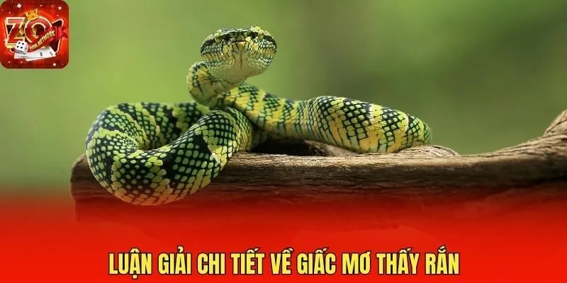 Luận giải chi tiết về giấc mơ thấy rắn