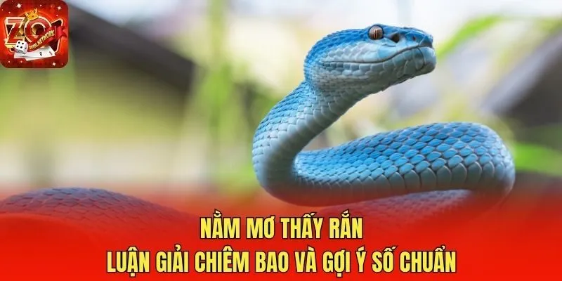 Nằm Mơ Thấy Rắn - Luận Giải Chiêm Bao Và Gợi Ý Số Chuẩn